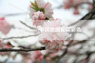 新野中国地图轮廓彩色