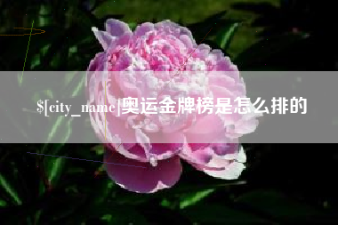 新野奥运金牌榜是怎么排的