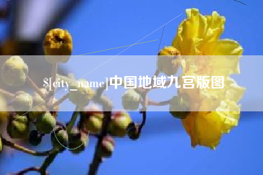 新野中国地域九宫版图