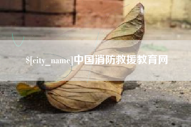 新野中国消防救援教育网