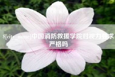 新野中国消防救援学院对视力要求严格吗