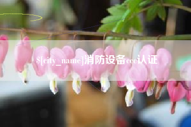 新野消防设备ccc认证