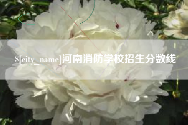 新野河南消防学校招生分数线
