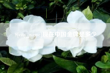 新野现在中国金牌是多少