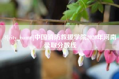新野中国消防救援学院2020年河南录取分数线