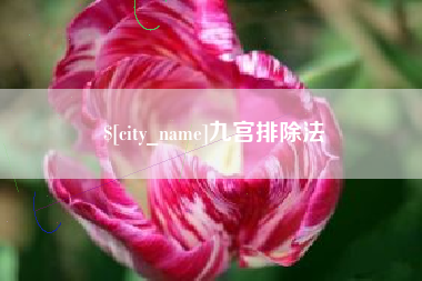 新野九宫排除法