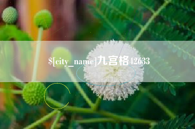 新野九宫格42633