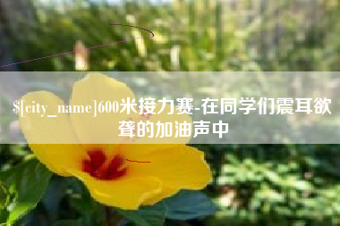 新野600米接力赛-在同学们震耳欲聋的加油声中