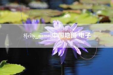 新野中国地图 电子