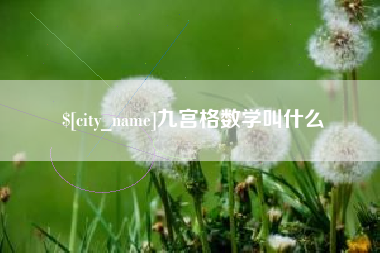 新野九宫格数学叫什么