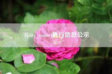 新野执行信息公示