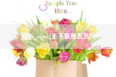 新野王子豪是怎么写