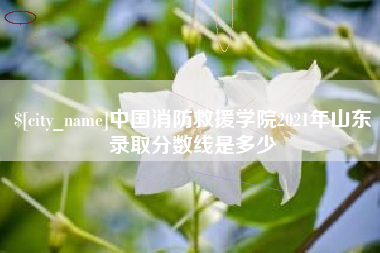 新野中国消防救援学院2021年山东录取分数线是多少