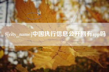 新野中国执行信息公开网有app吗