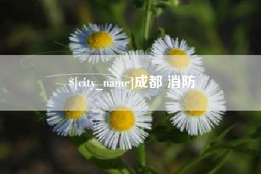 新野成都 消防