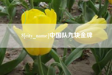 新野中国队九块金牌