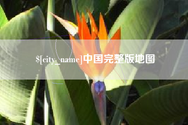 新野中国完整版地图