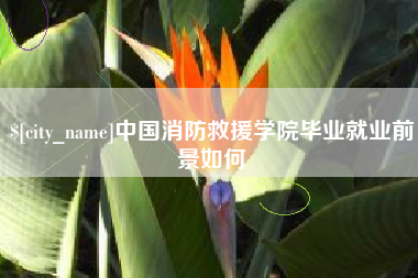 新野中国消防救援学院毕业就业前景如何