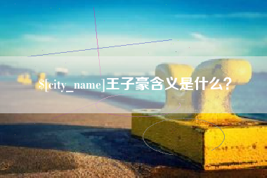 新野王子豪含义是什么？