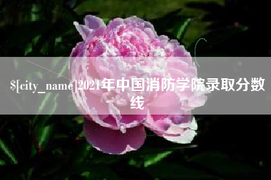 新野2021年中国消防学院录取分数线