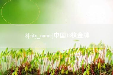 新野中国18枚金牌