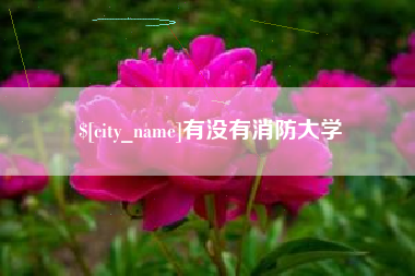 新野有没有消防大学