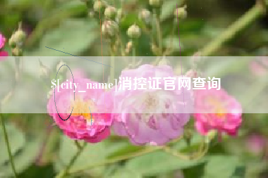 新野消控证官网查询