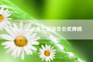 新野第七届亚冬会奖牌榜