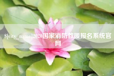 新野2020国家消防救援报名系统官网