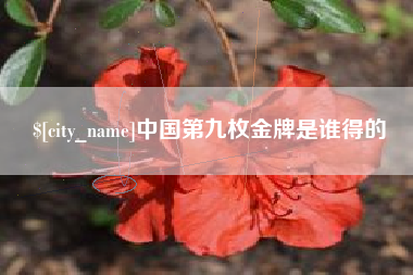 新野中国第九枚金牌是谁得的