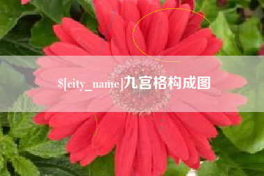 新野九宫格构成图