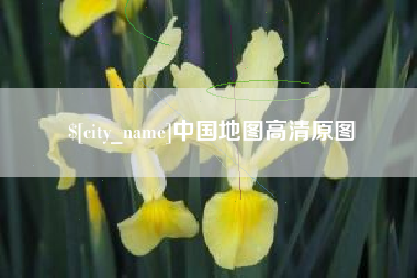 新野中国地图高清原图