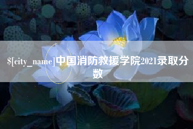 新野中国消防救援学院2021录取分数