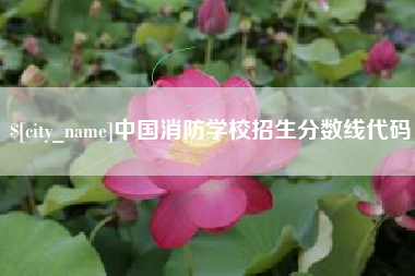 新野中国消防学校招生分数线代码