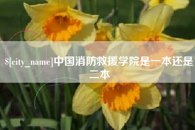 新野中国消防救援学院是一本还是二本