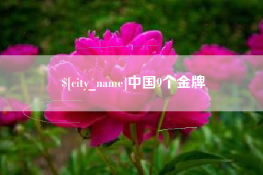 新野中国9个金牌