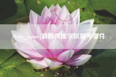 新野消防救援学院报考条件