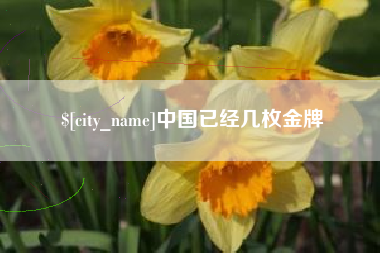 新野中国已经几枚金牌
