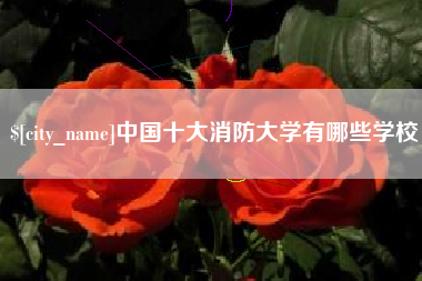 新野中国十大消防大学有哪些学校