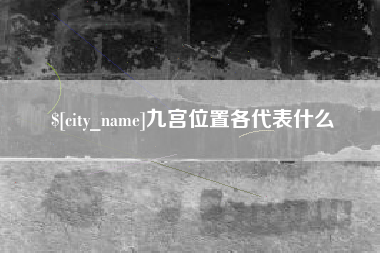 新野九宫位置各代表什么