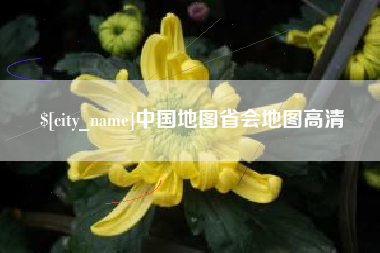 新野中国地图省会地图高清