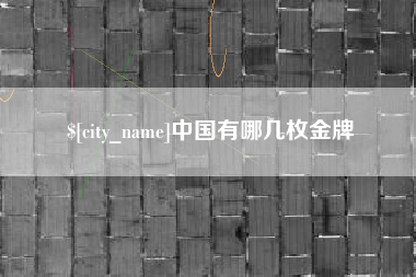 新野中国有哪几枚金牌