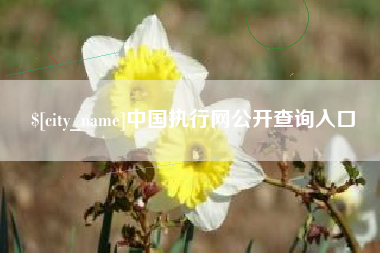 新野中国执行网公开查询入口