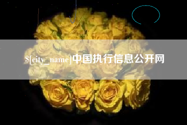 新野中国执行信息公开网