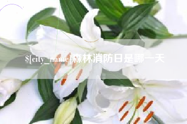 新野森林消防日是哪一天