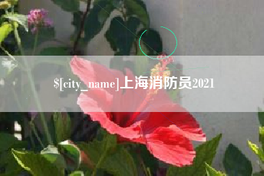 新野上海消防员2021
