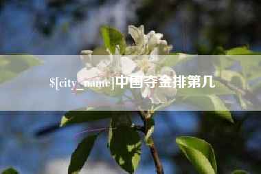 新野中国夺金排第几