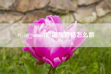 新野地图九宫格怎么数