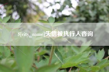 新野失信被执行人杳询