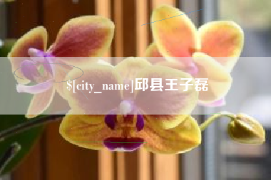 新野邱县王子磊